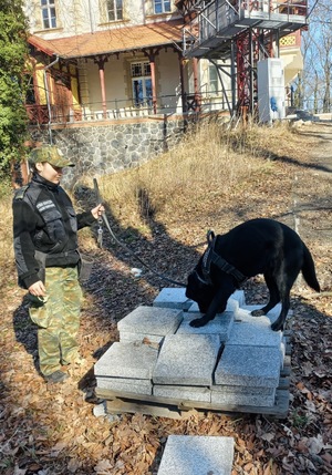 Pięć miesięcy szkolenia zakończone zdanymi egzaminami Pięć miesięcy szkolenia zakończone zdanymi egzaminami