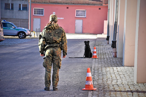 Pięć miesięcy szkolenia zakończone zdanymi egzaminami Pięć miesięcy szkolenia zakończone zdanymi egzaminami