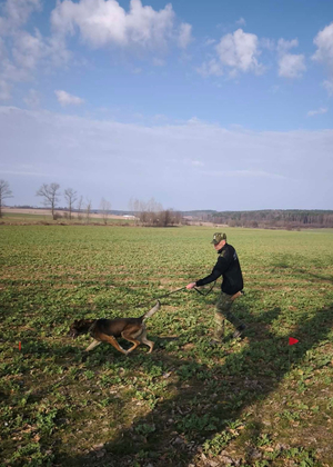 Zakończenie kursów doskonaląco-atestacyjnych przewodników psów tropiących i tropiąco-patrolowych Zakończenie kursów doskonaląco-atestacyjnych przewodników psów tropiących i tropiąco-patrolowych