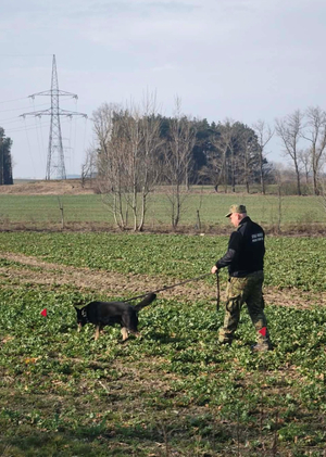 Zakończenie kursów doskonaląco-atestacyjnych przewodników psów tropiących i tropiąco-patrolowych Zakończenie kursów doskonaląco-atestacyjnych przewodników psów tropiących i tropiąco-patrolowych