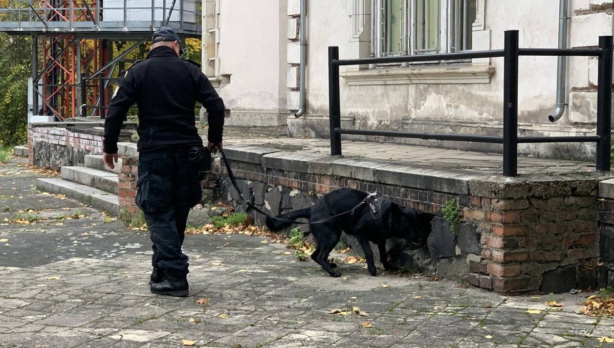 Funkcjonariusz Straży Marszałkowskiej z psem służbowym.