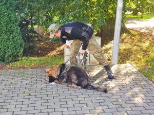 Funkcjonariusz Straży Granicznej z psem służbowym w trakcie szkolenia