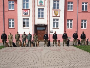 Grupa funkcjonariuszy z psami służbowymi.