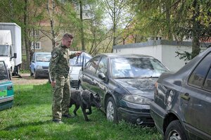 Funkcjonariusz  z psem podczas egzaminu przy samochodach