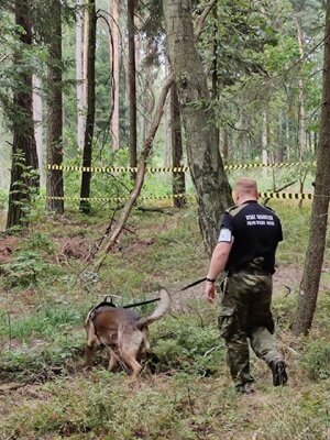 I Międzynarodowe Zawody Kynologiczne