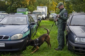 Funkcjonariusz z psem podczas ćwiczeń na terenie Ośrodka