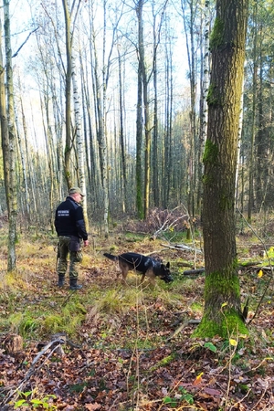 Ostatnie tegoroczne edycje kursów doskonaląco-atestacyjnych