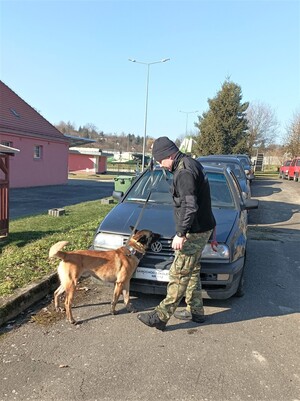Trening Przewodnika z psem służbowym