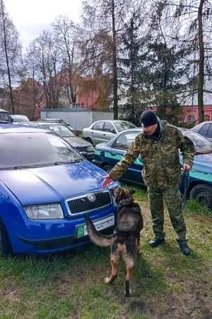 Kursy doskonaląco-atestacyjne dla przewodników psów patrolowo-obronnych oraz przewodników psów specjalnych do wyszukiwania narkotyków