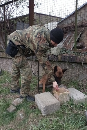 Kursy doskonaląco-atestacyjne dla przewodników psów patrolowo-obronnych oraz przewodników psów specjalnych do wyszukiwania narkotyków