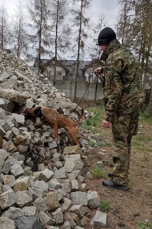 Kursy doskonaląco-atestacyjne dla przewodników psów patrolowo-obronnych oraz przewodników psów specjalnych do wyszukiwania narkotyków