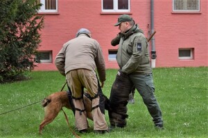 Kurs dla pozorantów z zakresu ćwiczeń obronnych psów