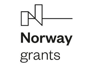 logo nmf