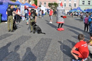 Dzień Aktywnej Rodziny 2023