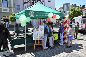 Dzień Aktywnej Rodziny 2023