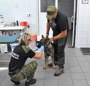 Rozpoczęcie szkolenia specjalistycznego i zakup psów