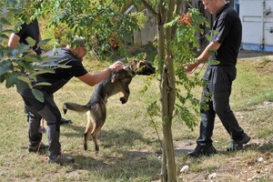 Rozpoczęcie szkolenia specjalistycznego i zakup psów
