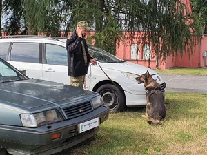 Kurs doskonaląco-atestacyjny dla przewodników oraz psów służbowych
