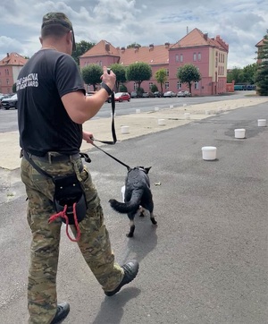 kurs doskonaląco-atestacyjny dla przewodników psów specjalnych do wyszukiwania narkotyków