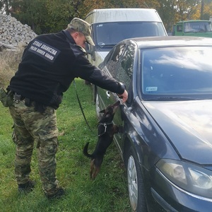 Kurs doskonaląco-atestacyjny przewodników psów specjalnych do wyszukiwania narkotyków.