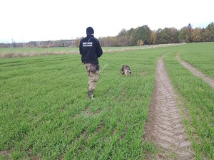 Szkolenie specjalistyczne z zakresu kynologii służbowej