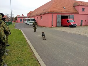 Szkolenie specjalistyczne z zakresu kynologii służbowej