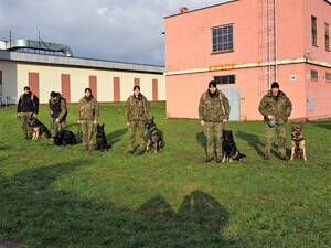 Kurs doskonaląco – atestacyjny dla przewodników oraz psów służbowych