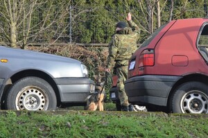 Szkolenie specjalistyczne z zakresu kynologii służbowej