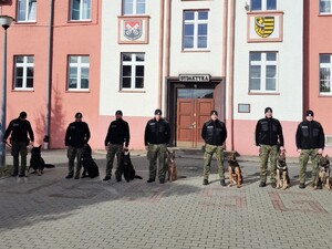 Kurs doskonaląco – atestacyjny przewodników psów specjalnych
