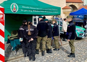 Piknik militarny w Lubomierzu