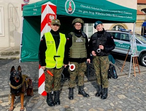 Piknik militarny w Lubomierzu