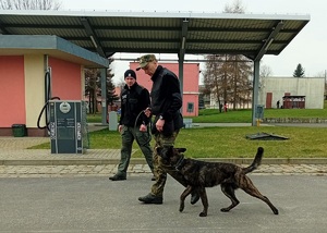 Zakończenie kursu doskonalącego instruktorów-selekcjonerów psów specjalnych