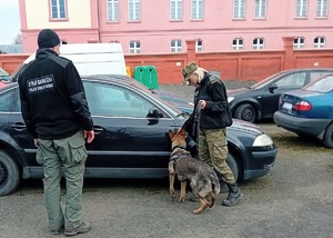 Zakończenie kursu doskonalącego instruktorów-selekcjonerów psów specjalnych
