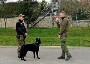 Zakończenie kursu doskonalącego instruktorów-selekcjonerów psów specjalnych