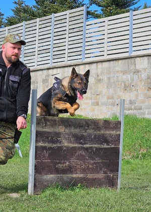 Przewodnicy psów tropiąco-patrolowych oraz psów tropiących szkolili się w OSS SG w Lubaniu