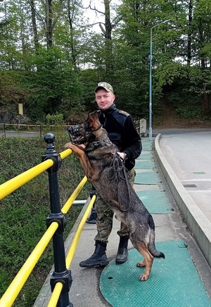 Funkcjonariusz SG z psem służbowym podczas zajęć z  tropienia na Zaporze Leśniańskiej