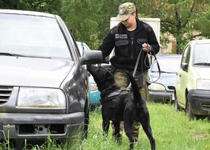 Funkcjonariuszka SG z psem służbowym podczas egzaminu