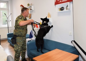Funkcjonariusz SG z psem służbowym podczas egzaminu