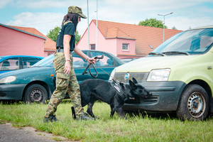 Funkcjonariuszka z psem służbowym podczas III Międzynarodowych Zawodów Kynologicznych