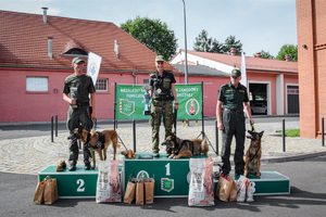 Zwycięzcy w kategorii psów do wyszukiwania materiałów wybuchowych