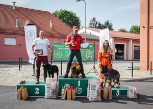 Zwycięzcy w kategorii psów ratowniczych