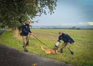 Dwóch funkcjonariuszy SG oraz pies służbowy podczas zajęć w terenie Dwóch funkcjonariuszy SG oraz pies służbowy podczas zajęć w terenie