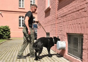 Funkcjonariusz ze swoim psem podczas szkolenia.