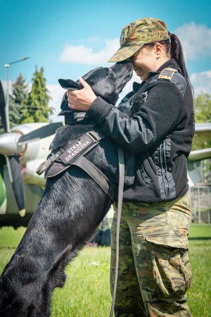 Pies – najlepszy przyjaciel przewodnika Pies – najlepszy przyjaciel przewodnika