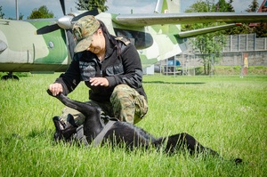 Pies – najlepszy przyjaciel przewodnika Pies – najlepszy przyjaciel przewodnika