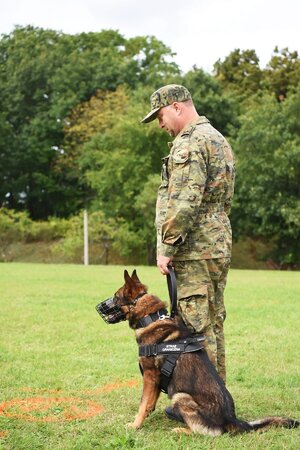 IV Międzynarodowe Zawody Kynologiczne 2025