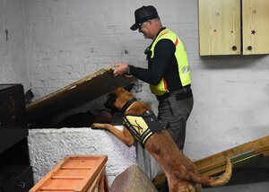 IV Międzynarodowe Zawody Kynologiczne 2025