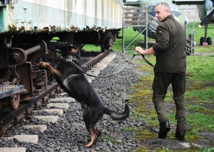 Szkolenie specjalistyczne z zakresu kynologii służbowej Szkolenie specjalistyczne z zakresu kynologii służbowej
