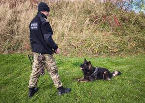 Zakończenie kursów doskonaląco-atestacyjnych przewodników psów tropiących i tropiąco-patrolowych Funkcjonariusz SG wraz z psem służbowym podczas egzaminu