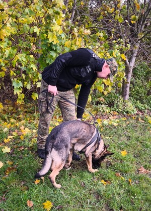 Zakończenie kursów doskonaląco-atestacyjnych przewodników psów tropiących i tropiąco-patrolowych Funkcjonariusz SG wraz z psem służbowym podczas egzaminu